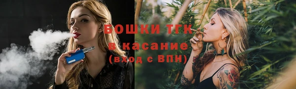 дживик Киренск