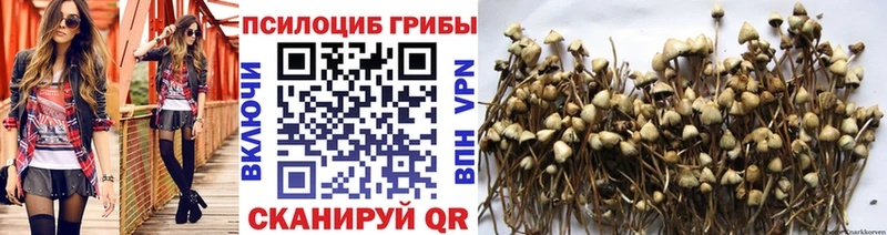 Галлюциногенные грибы MAGIC MUSHROOMS  Купить закладки  Елизово 